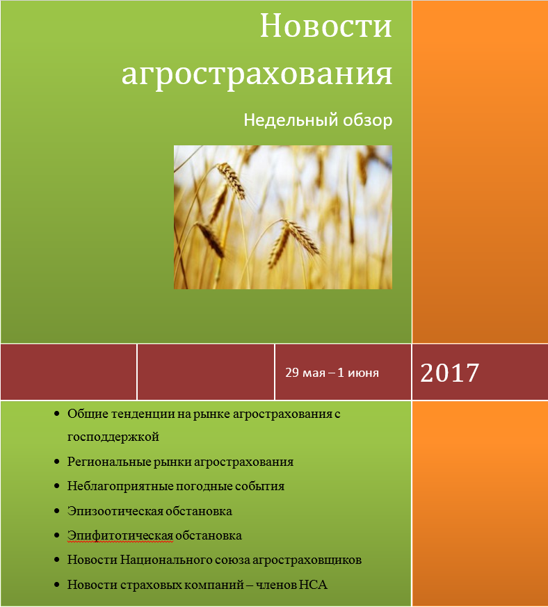 Безымянный1.png