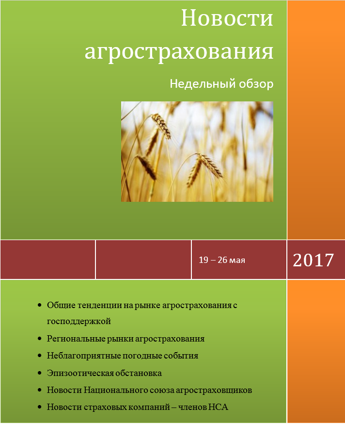 Безымянный2.png