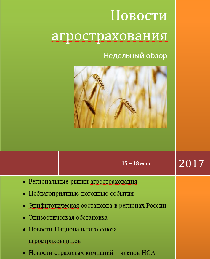 Безымянный3.png