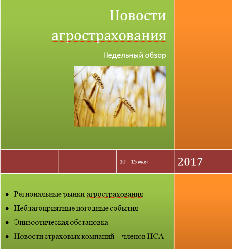 Безымянный4.png