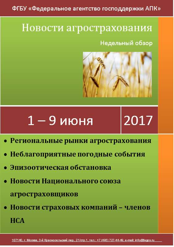 Безымянный_0.png