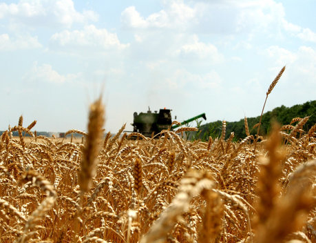 Томские аграрии получили дополнительную поддержку в связи с ростом цен на ГСМ