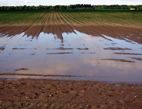 Амурские аграрии получат 400 млн рублей на компенсацию ущерба от паводка