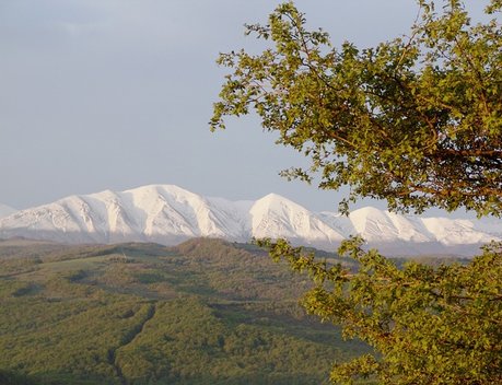 Аграрии Дагестана получат господдержку в рамках госпрограммы развития горных территорий