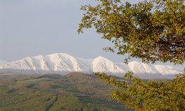 Аграрии Дагестана получат господдержку в рамках госпрограммы развития горных территорий