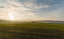 В Нижегородской области с помощью господдержки ввели в сельхозоборот свыше 600 га мелиорируемых земель