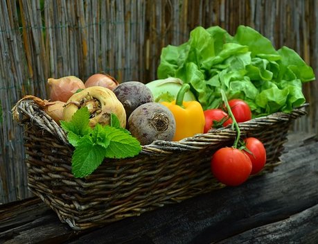 В Башкортостане поддерживают создание сельхозпотребкооперативов