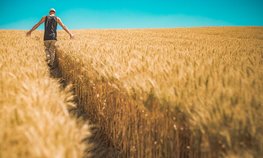 В Чувашии до 2024 года на поддержку фермеров и сельхозкооперации направят 982 млн рублей