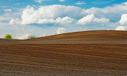 Аграрии Татарстана получат региональную поддержку на приобретение минеральных удобрений