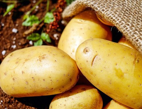 Сельхозкооператив Липецкой области благодаря господдержке открыл цех по переработке картофеля