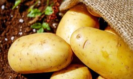 Сельхозкооператив Липецкой области благодаря господдержке открыл цех по переработке картофеля