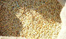 Минсельхоз определил закупочные цены на зерно для проведения интервенций