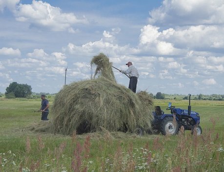 Грантовая поддержка малых форм хозяйствования в Калининградской области достигла 700 млн рублей