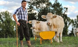 Начинающие фермеры Татарстана получат 250 млн рублей в виде грантов
