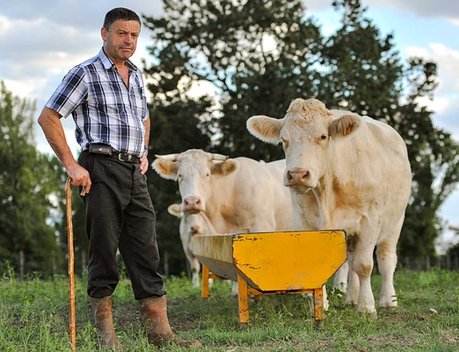 Начинающие фермеры Татарстана получат 250 млн рублей в виде грантов