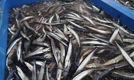 РСХБ увеличил кредитование рыбопромышленников в 2019 году на 34 %