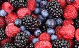 Законопроект о снижении НДС для плодово-ягодных культур принят в первом чтении