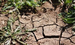Пострадавшие от засухи аграрии Забайкалья получат компенсации до конца года