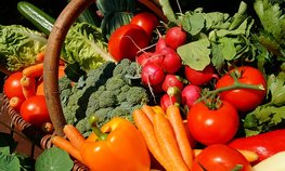 В Минсельхозе обсудили меры по поддержке производства овощей и картофеля в Приморье