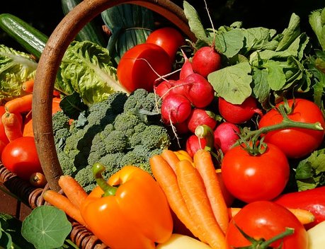 В Минсельхозе обсудили меры по поддержке производства овощей и картофеля в Приморье