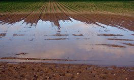 Жители Иркутской области получили компенсацию за потерю урожая от грунтовых вод
