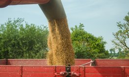 Правительство РФ разрешило продать из интервенционного фонда до 1 млн тонн зерна