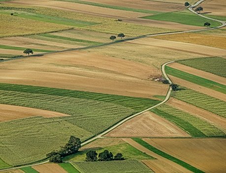 Мишустин: проблема вовлечения сельхозземель в оборот нуждается в системной проработке