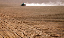 Более 120 млн рублей получили забайкальские аграрии на проведение весенне-полевых работ