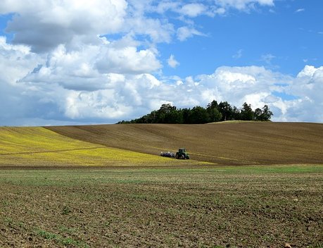 Сельхозпроизводителям Свердловской области перечислено 800 млн рублей господдержки