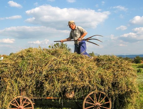 В России изменились правила господдержки сельхозпроизводителей