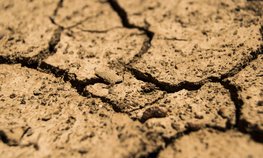 Пострадавшие от засухи посевы в Челябинской области не были застрахованы