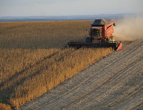 Президент НСА Корней Биждов: в 2020 году впервые урожай был застрахован во всех регионах Сибири