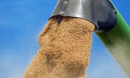 В России заработает постоянный механизм регулирования экспорта зерна