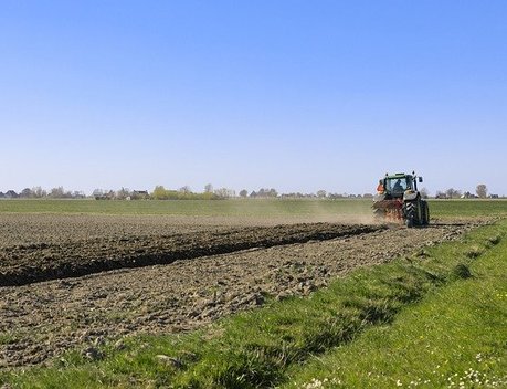 Более 826 млн рублей предусмотрено на развитие растениеводства в Орловской области