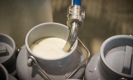 Кубань направит более 1 млрд рублей на производство молока