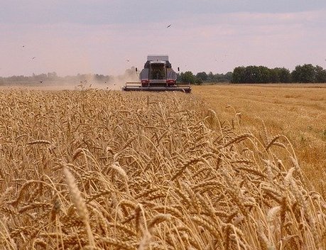 Смоленские аграрии приобрели сельхозтехнику на сумму более 600 млн рублей