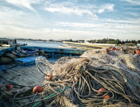 В Совете Федерации обсудили совершенствование нормативной правовой базы, направленной на развитие береговой рыбопереработки