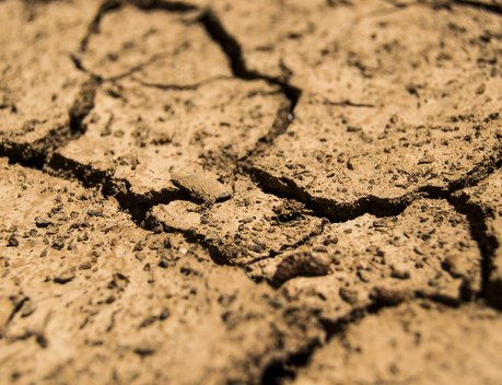 В Оренбургской области на поддержку пострадавших от засухи аграриев направят 150 млн рублей