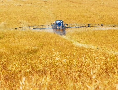 Дмитрий Патрушев доложил о предварительных итогах уборки урожая сельхозкультур в 2021 году