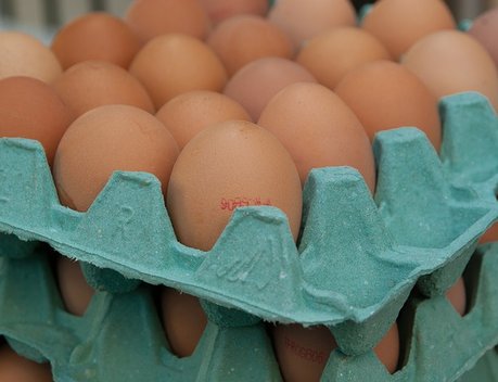 Сельхозпроизводители Ставрополья получат господдержку за реализацию яйца