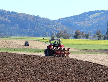 Почти тысячу гектаров залежных земель вернут в оборот хабаровские аграрии в 2022 году