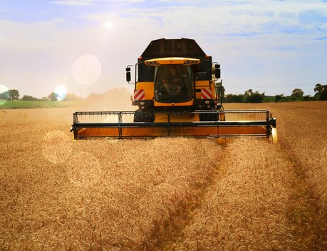 Белоруссия ввела запрет на экспорт муки из мягкой пшеницы