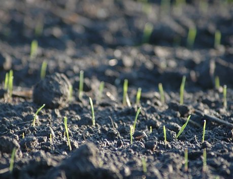 Аграрии Томской области получают субсидии на проведение агротехнологических работ