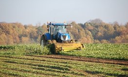Фермеры Ленинградской области получат региональные гранты