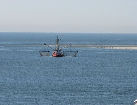 Рыболовецкие предприятия, ведущие промысел в Азовском море, получат поддержку