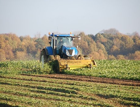 В Ивановской области расширят меры поддержки для сельскохозяйственных потребительских кооперативов