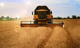 Агрометеорологи прогнозируют хороший урожай озимых в ЦФО