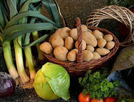 В Минсельхозе обсудили ход уборки овощей «борщового набора»