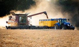 В России собрано порядка 20 млн тонн зерна