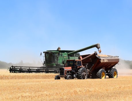 Закупки зерна в государственный интервенционный фонд начнутся в августе